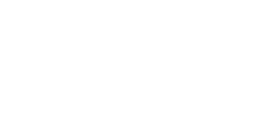 RANDA OFFENSIVE